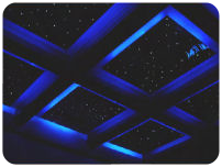 Ceiling-mounted Star Panel™.